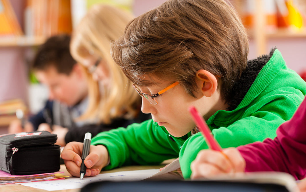 Seu filho usa todo o potencial de aprendizado que tem?