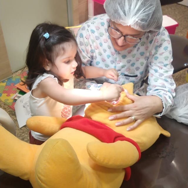 Dra. Sílvia Helena Spechoto