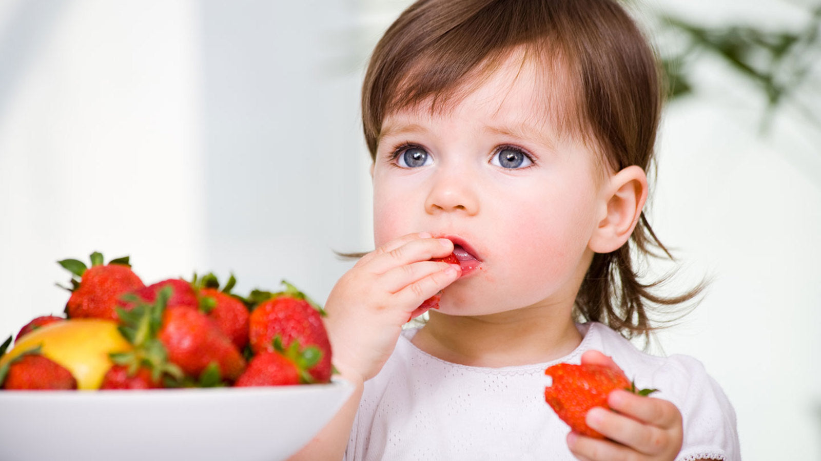 Os segredos da alimentação infantil
