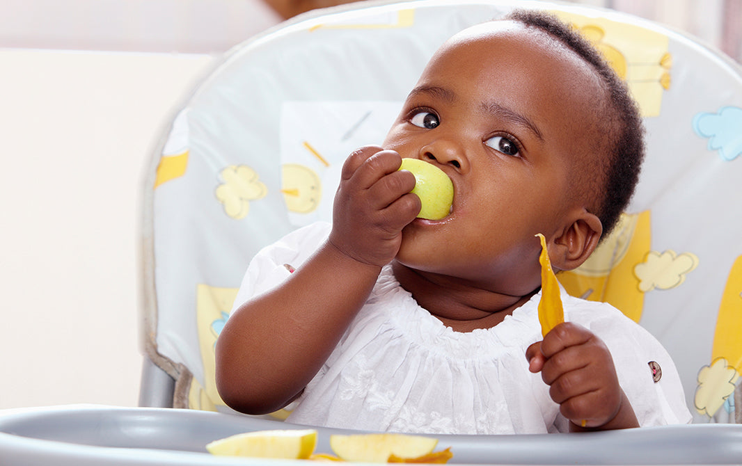 Como ter sucesso na introdução alimentar do bebê?