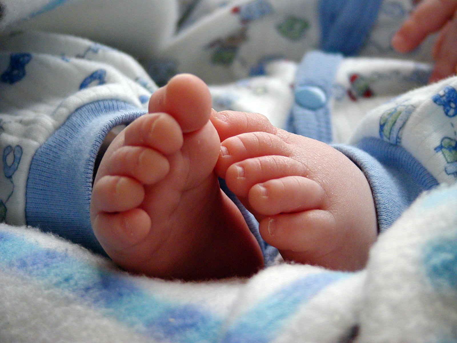Saiba quais as Preocupações mais comuns com o recém-nascido